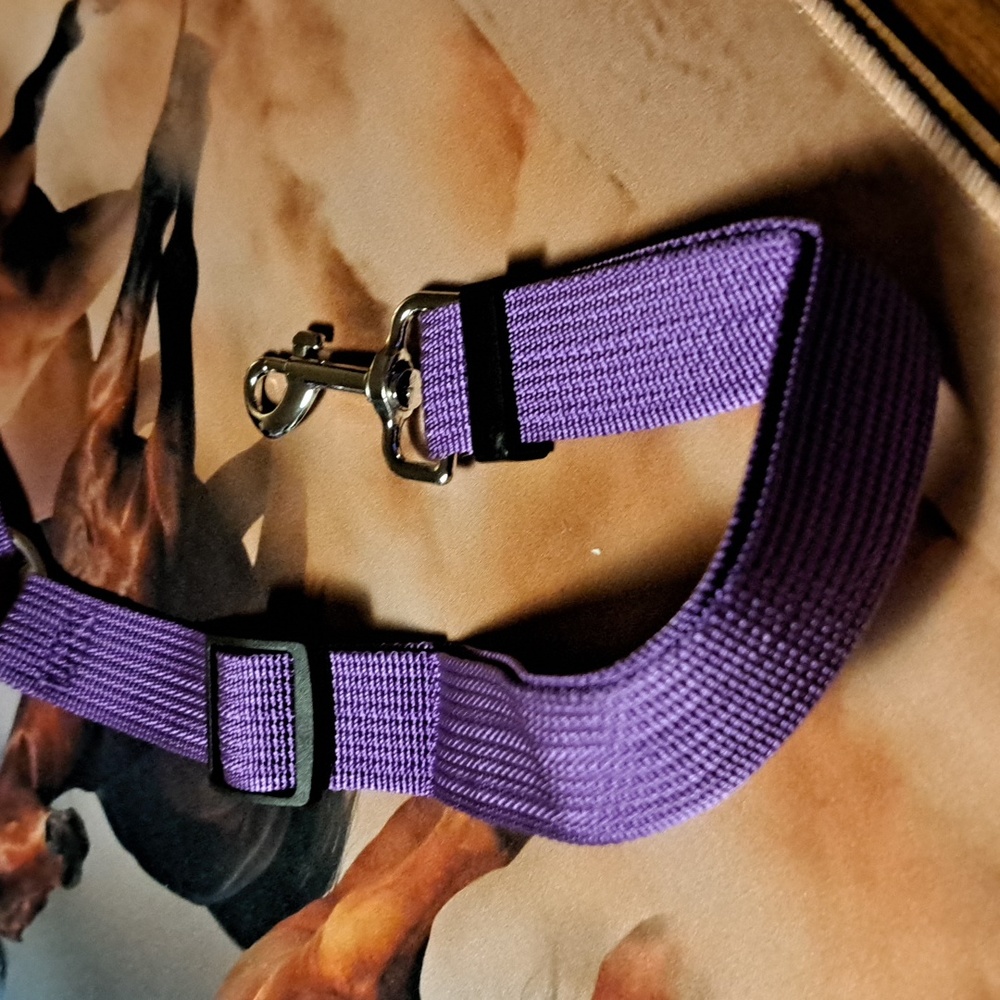 Adjustable safety seat belt/ BUNDLE ONLY 2or more items - Picture 3 of 4